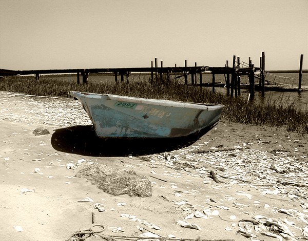 High & Dry