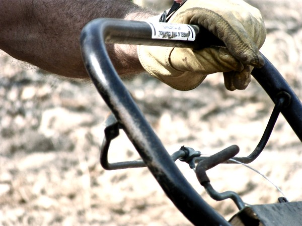 plowing time