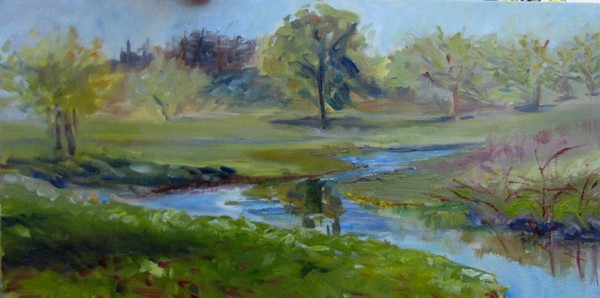 Laguna de Santa Rosa