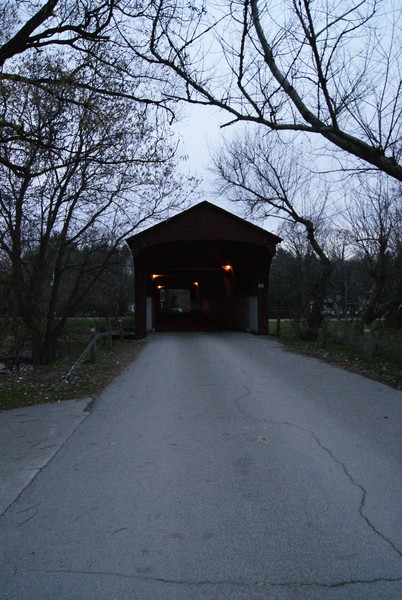 Picture 03