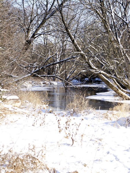 Views Of Lowville Creek