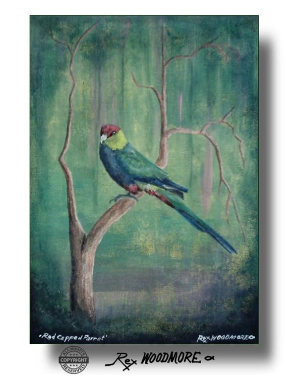 Red Capped Parrot