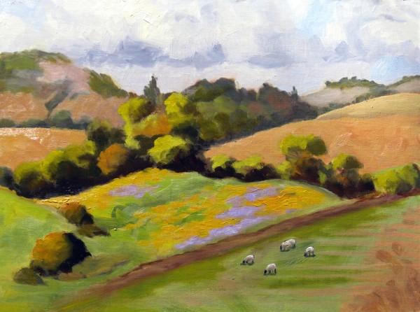 Suffolks Grazing