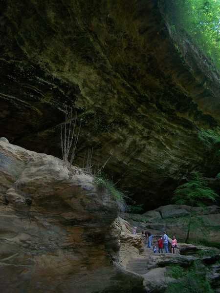 Overhead