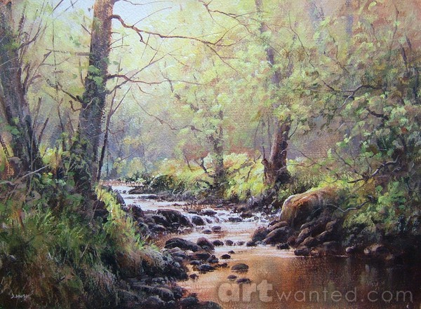 First Colours, Holystone, Northumberland.