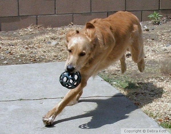 Running with Ball