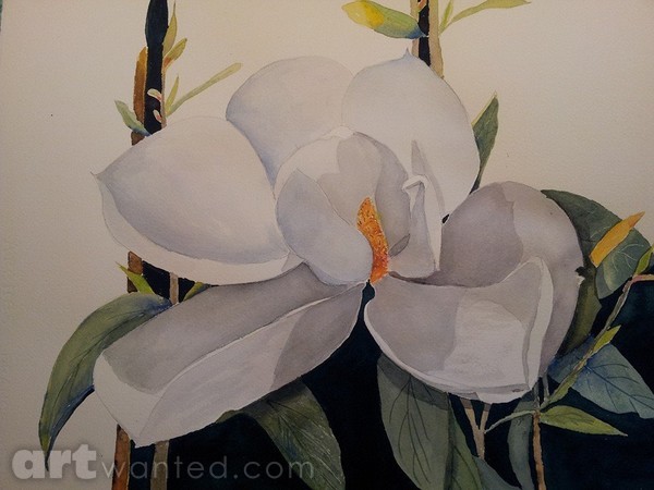 White Magnolia - NOT FOR SALE
