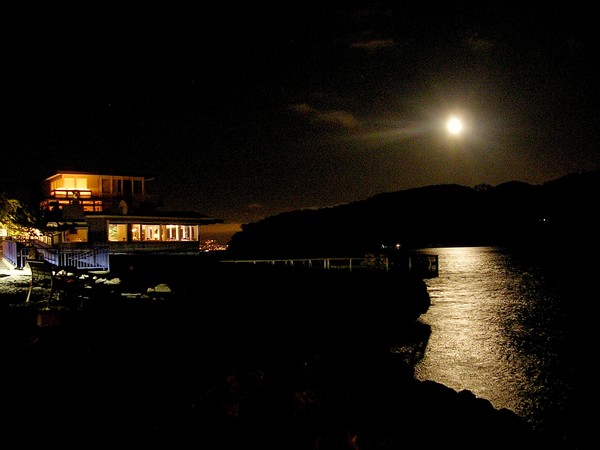 Tiburon moonlight 