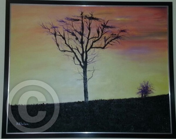 Sunset and the tree