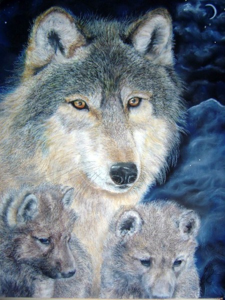 wolf family