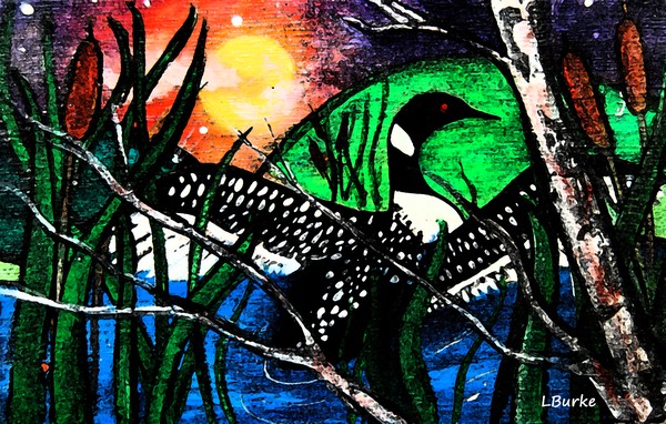 Sunrise Loon