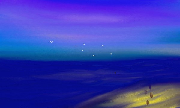 birds