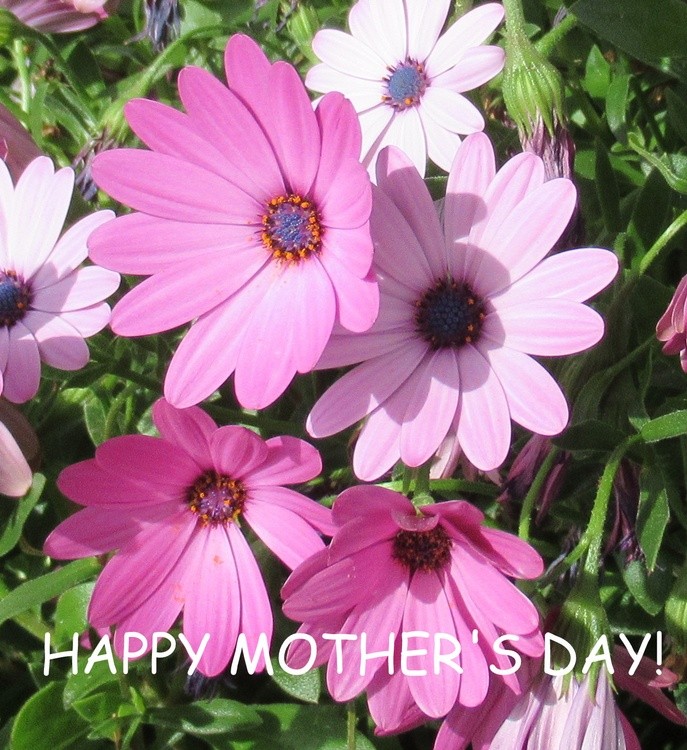 HAPPY MOTHER'S DAY!!!