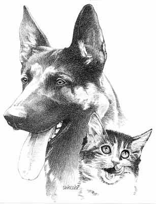 BEST BEHAVOR