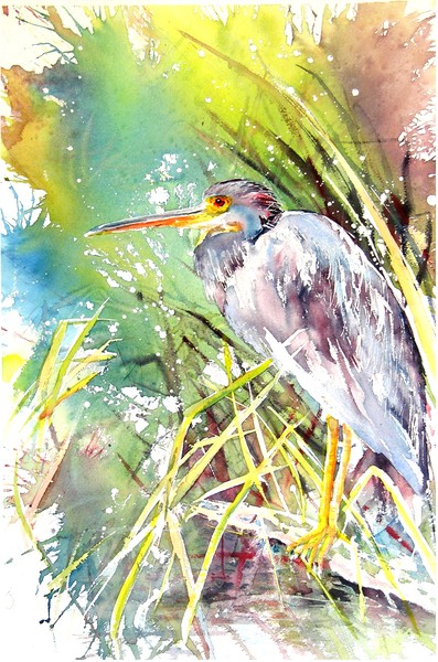 Heron Waiting