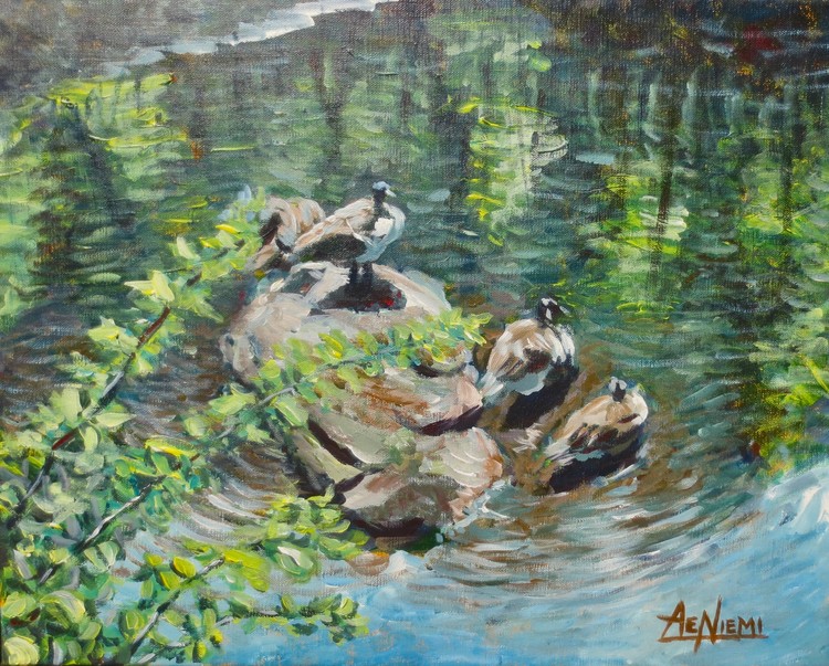 Coggshall Geese Sunbathing