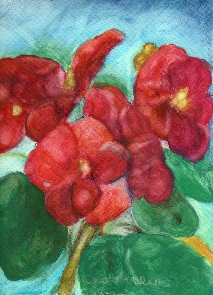 African Violets