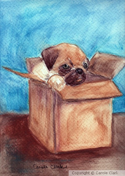 Shipping Out