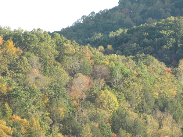 West Virginia