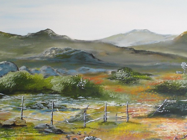 Namaqualand pass