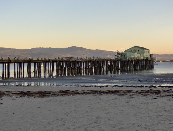 Old Princeton-By-The Sea Pier