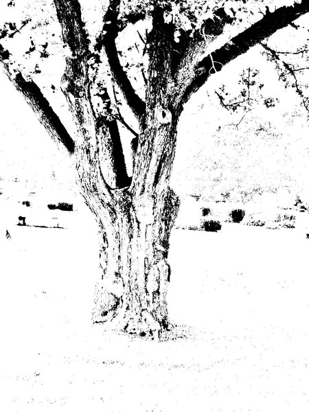 Cemetary Spirits-1