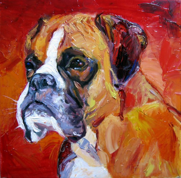 Boxer - 30 x 30 cm