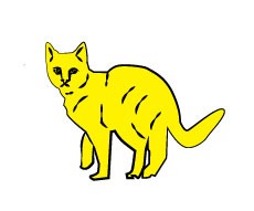 Yellow-Cat