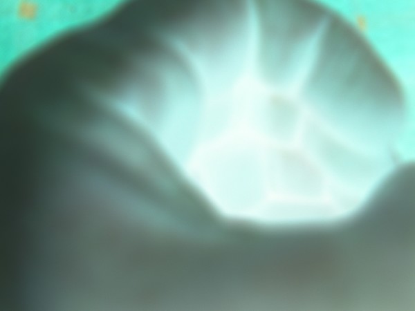 The Light In My Hand...