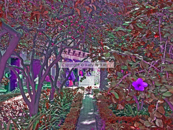 Malaga Surreal Garden