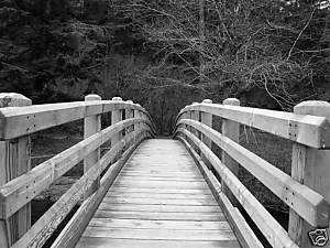 Bridge leading to somewhere 