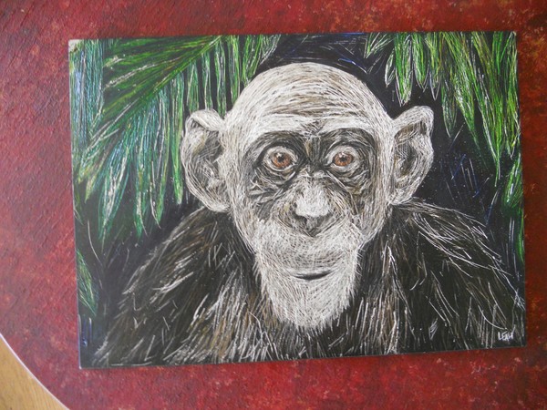 Scratchboard Monkey 5x7