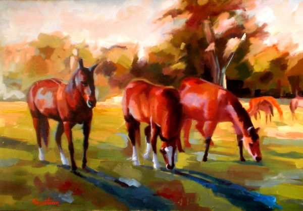 Horse at pasture