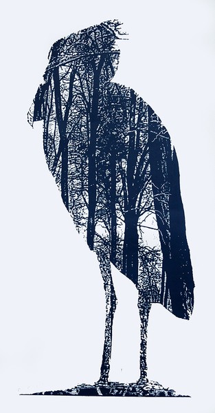 The Bird Of Franz Kafka