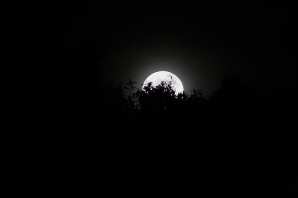 The moon