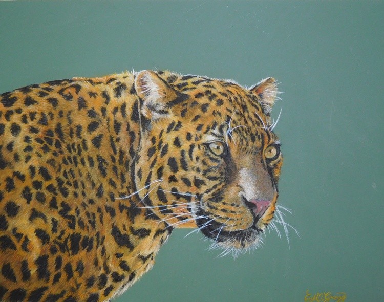 Leopard 1