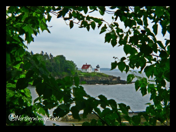 Curtis Island Lighthouse 2