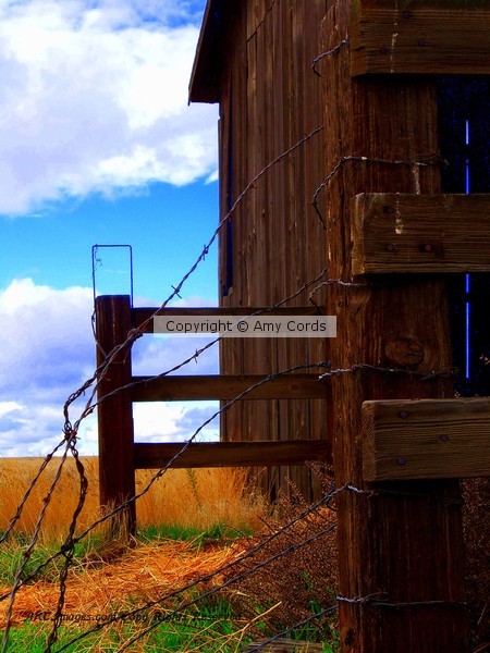 'Barbed Wire Barn'