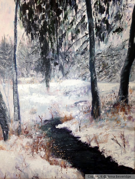 Through the Frozen Field