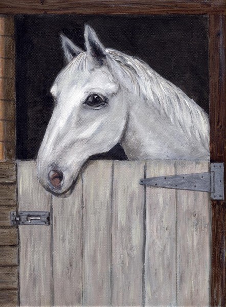 horse stable direct copy