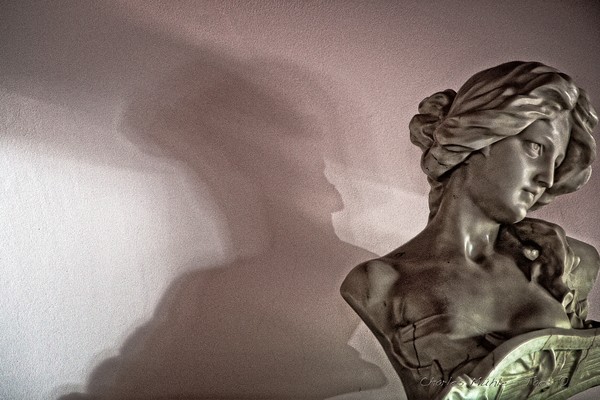 Away from her shadows