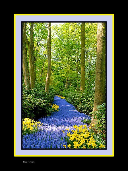 Blue Flower