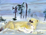 Polar Bear Love