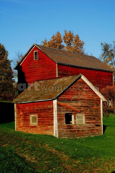 Red Barns III