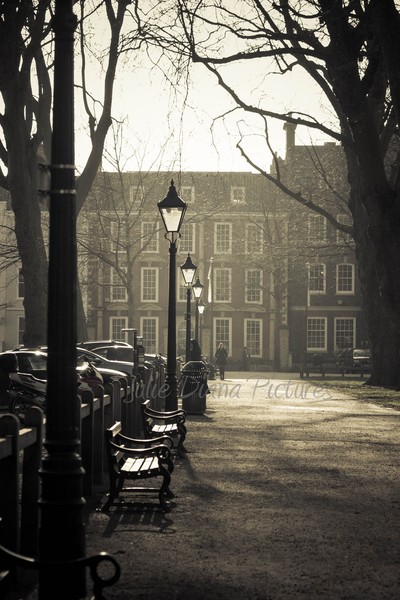 The Square