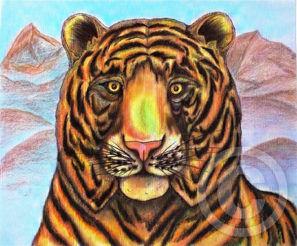 The Bengal Tiger Original Mixed Media Drawing