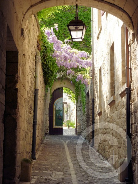 St Remy Provence France