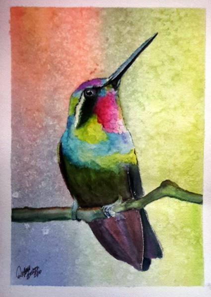 Hummingbird #1