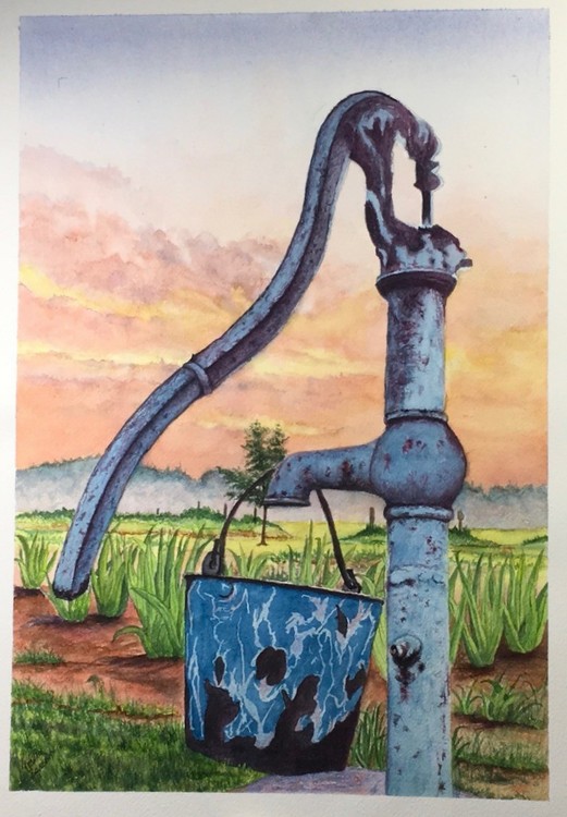 Flower bed and Water Pump