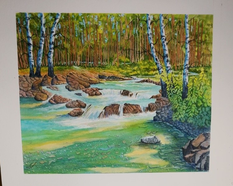 Sic Birch Trees by Stream